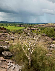 Wet Season in Kakadu National Park