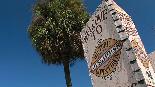 Experience Kissimmee