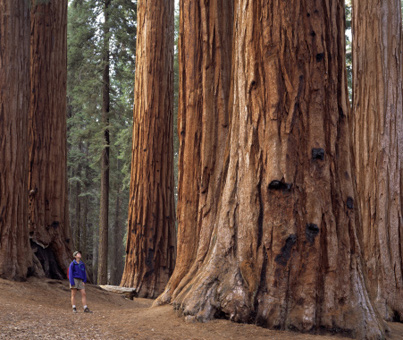 U.S. Government shutdown forces closures of 401 national parks