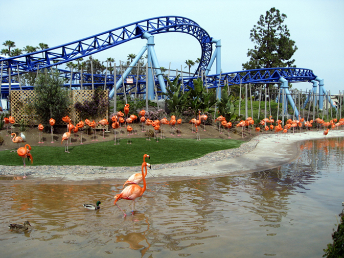 Seaworld Orlando