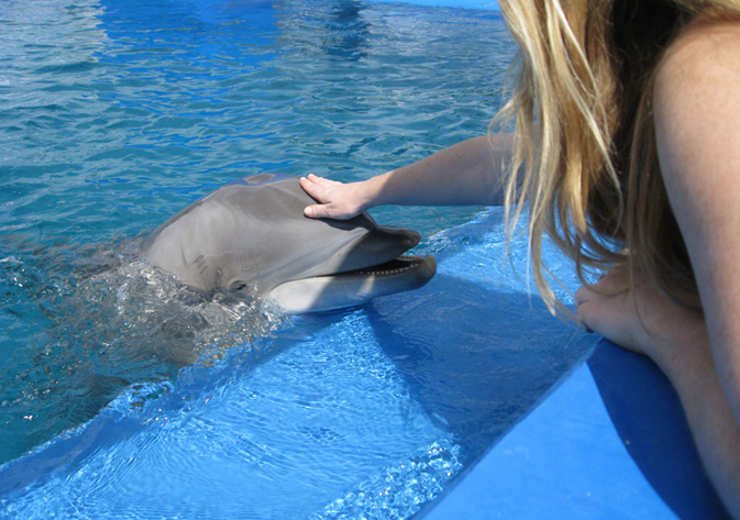 Seaworld Orlando