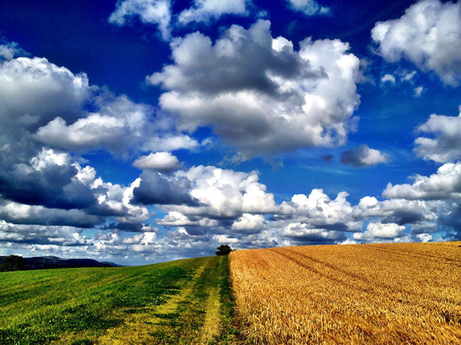 Hillsborough, County Down, Northern Ireland by Ludwig Wagner