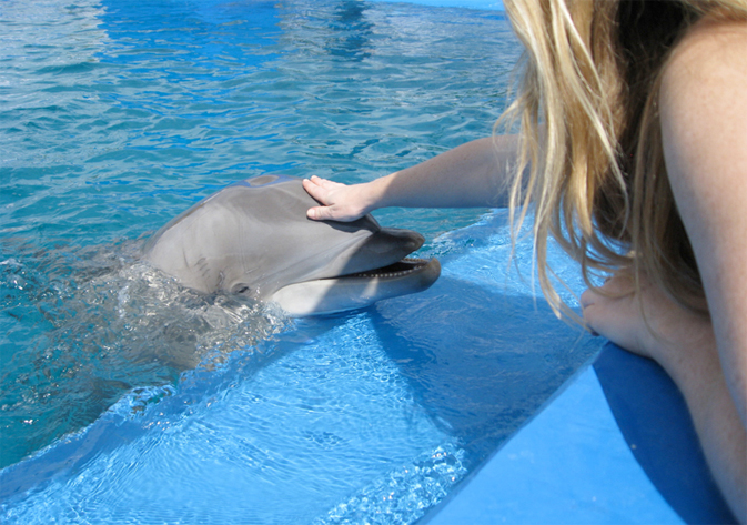 SeaWorld Orlando