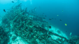 Haiti Shipwreck