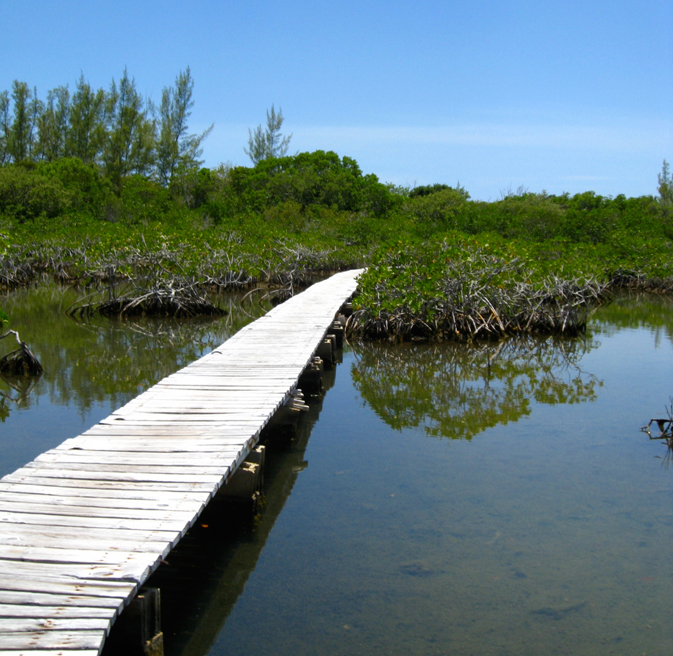 Memories Grand Bahama