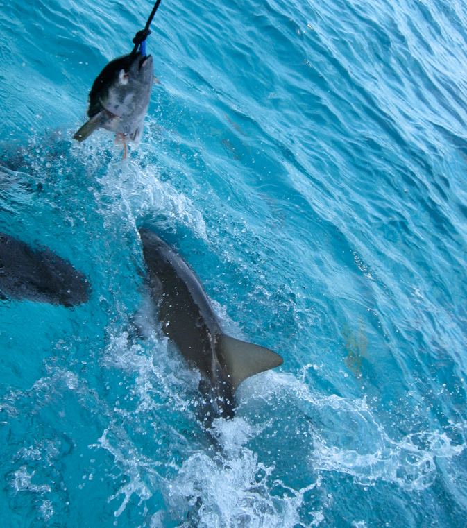 Memories Grand Bahama