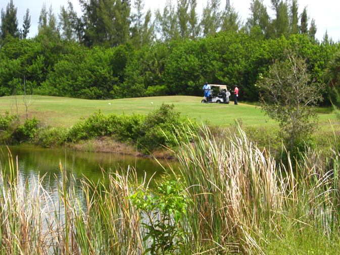 Memories Grand Bahama