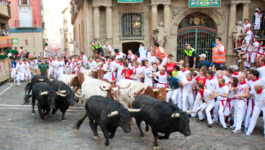 Bull Run Spain
