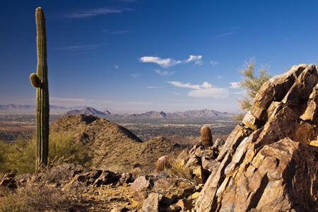 Sonoran Desert