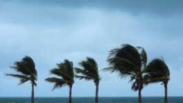 Storm Bermuda