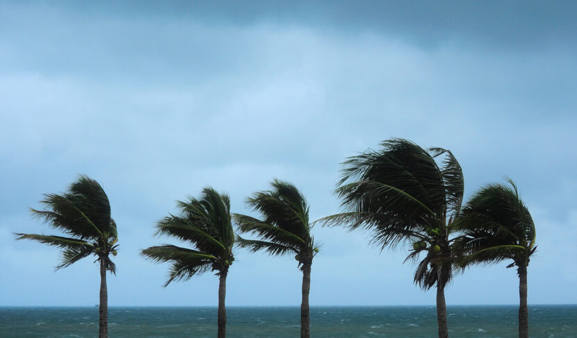 Storm Bermuda