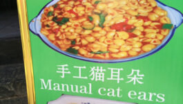 Hilarious translation fails