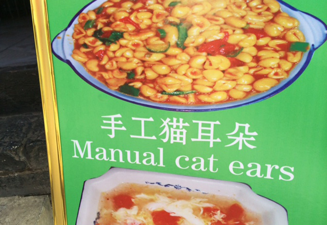 Hilarious translation fails