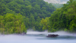 Norris Dam State Park, Tennessee