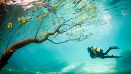 Diver in Magic Kingdom by Marc Henauer, National Geographic Traveler Photo Contest