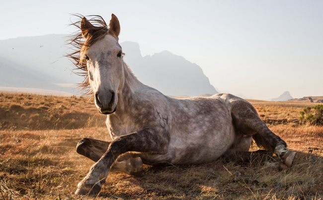 Khotso Peace at Devil's Knuckles by Byron Inggs, National Geographic Traveler Photo Contest