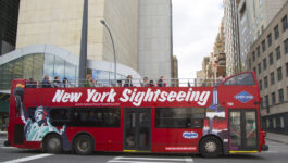 NYC Bus