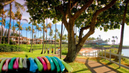 Save on five Maui properties with Condo Connection