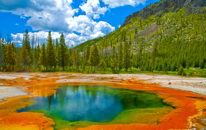 Yellowstone National Park