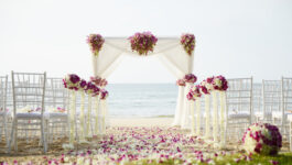 Big Bark launches idoweddingprint.com dealership for travel agents