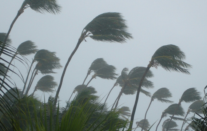 Puerto Vallarta hurricanes