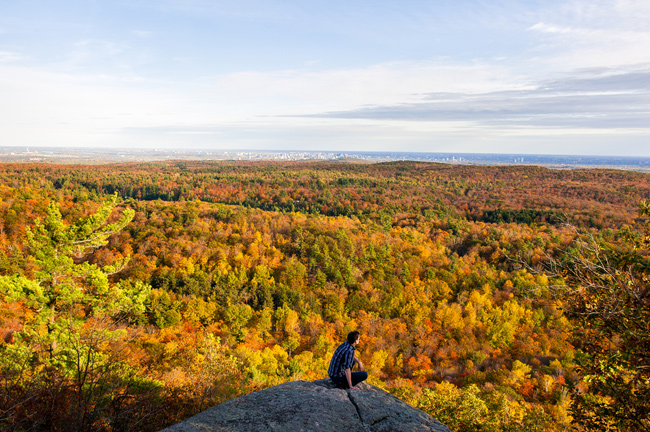 Gatineau Park