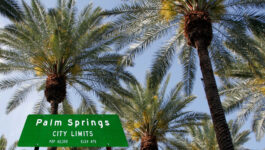 Palm Spring