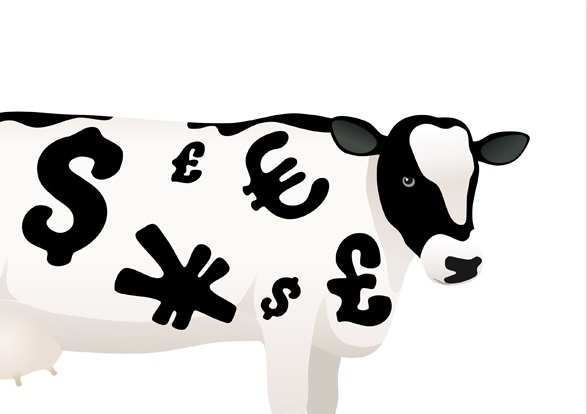 Cash Cow