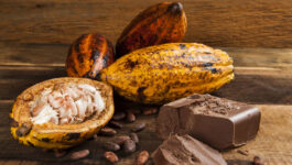 Cocoa Saint Lucia