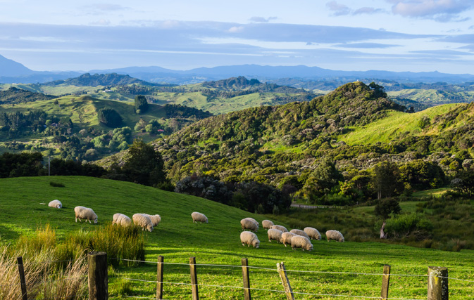Agents and family members get up to 70% off New Zealand airfares