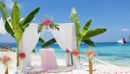 Tropical Wedding