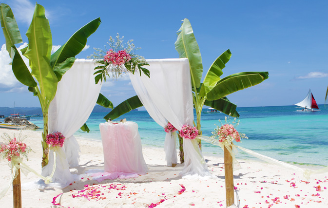 Tropical Wedding