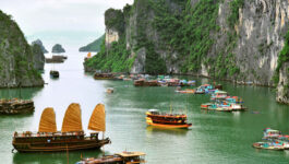 On The Go Tour offers ‘2 for 1’ prices on 20 Africa safaris, Vietnam tours during February