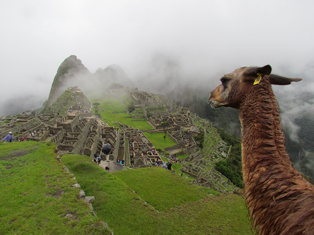 Machu Picchu reopens but Canada’s travel advisory for Cusco remains