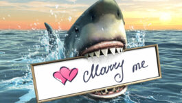 A marriage proposal with sharks on Valentine's Day