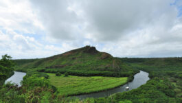 Wailua River