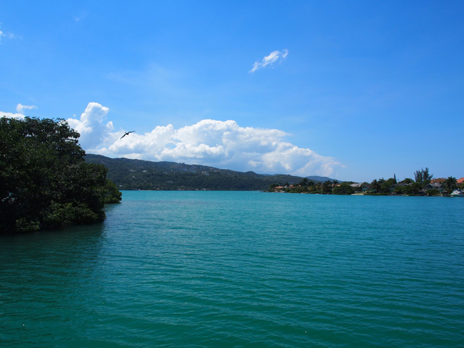 Catamaran Cruise