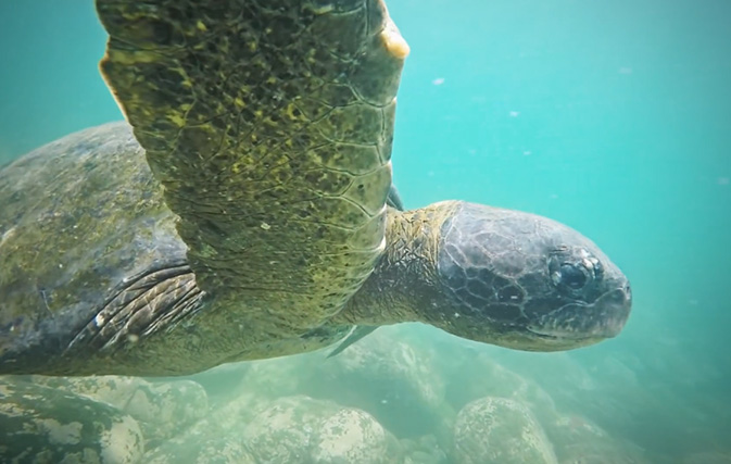 Intrepid Travel releases Galapagos Islands video with 15% off