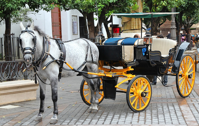 Mayor of San Juan bans use of horse drawn carriages