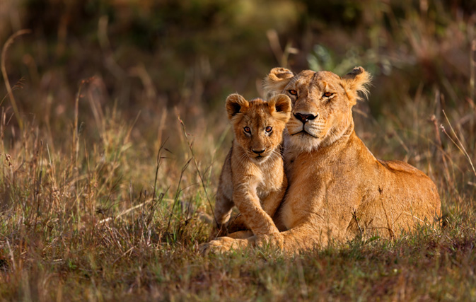 5% EBB with Globus’ 2018 African safaris, tented camp stays