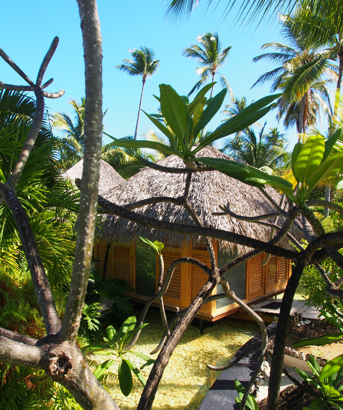 YHI Spa & Wellness Centre 