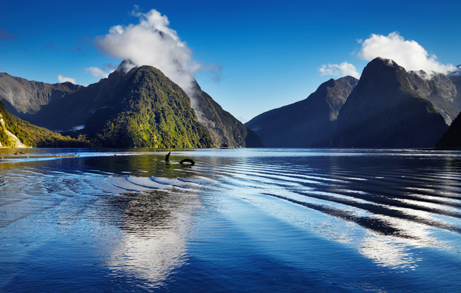 Tourism New Zealand, Air New Zealand host eight agents from Canada