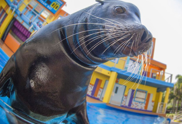 SeaWorld Orlando, Busch Gardens Tampa launch Canadian resident savings