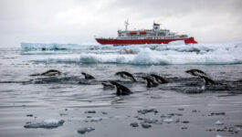 G Adventures offers Early Booking Bonus for Antarctic and Arctic