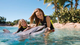 Earning commission on dolphin encounters? It’s as easy as 1-2-SeaWorld