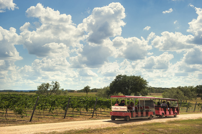 Grape Creek Cellar Tour