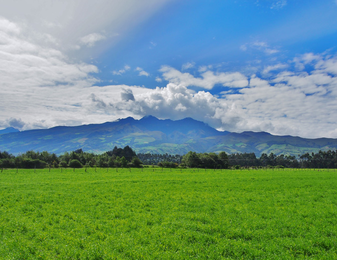 train ride with Tren Ecuador