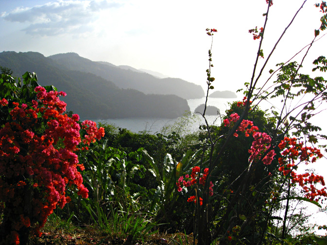 A view of Trinidad’s rugged coastline, on the way from Port of Spain to Maracas Beach