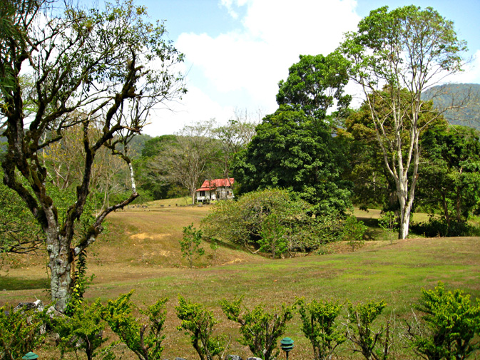 The Ortinola Estate in the lush Maracas Valley 