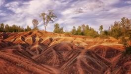 "Evening in the Badlands" A Niagara Escarpment feature near Cheltenham Ontario.